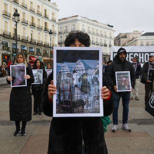 Activistas denuncian los "abusos sistemáticos" en la industria ganadera