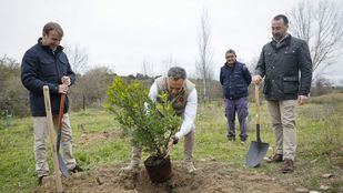 El proyecto Arco Verde ya conecta 17 municipios con 150.000 árboles