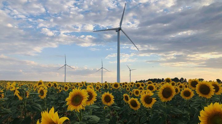 Iberdrola repotenciará sus primeros cuatro parques eólicos en España