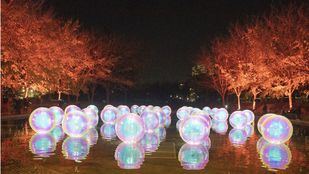Instalaciones navideñas para los distritos