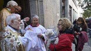 Un Madrid con más perros que gatos celebra San Antón, patrón de los animales