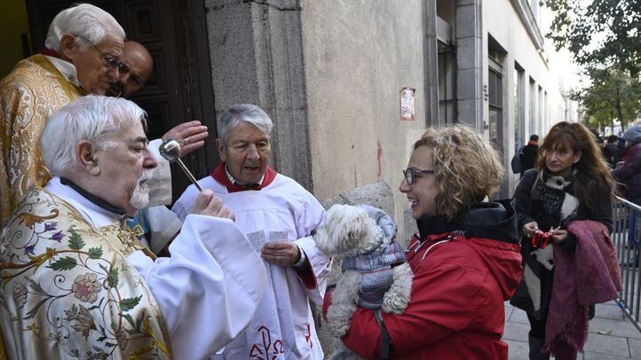 Un Madrid con más perros que gatos celebra San Antón, patrón de los animales