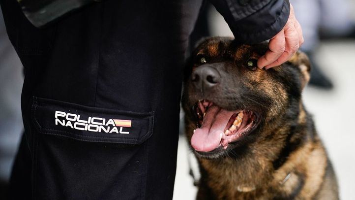 La Comunidad de Madrid acoge la presentación de la campaña Adopta un héroe de 4 patas