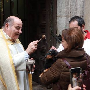 Las mascotas de Madrid celebran San Antón