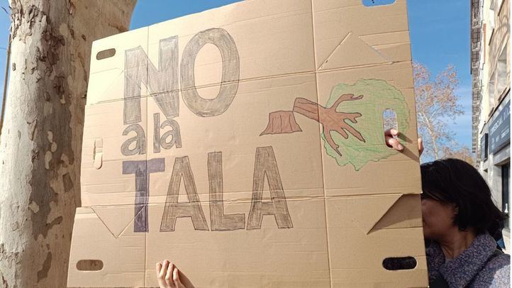 Protesta contra la tala de árboles por la ampliación de la Línea 11 de Metro