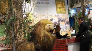 Fitur arranca una edición de récord con la participación de 152 países