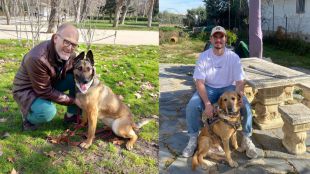 La jubilación de los perros policía después de una vida trabajando