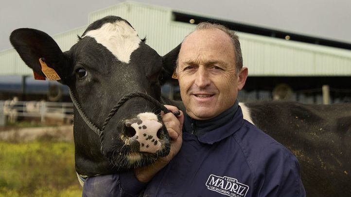 Ángel García y una de sus vacas