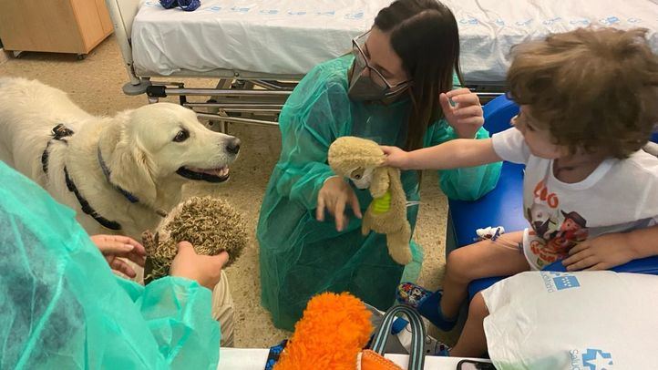 Uno de los niños ingresados en el Hospital 12 de Octubre juega con el perro