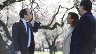 Borja Carabante visita el Parque Quinta de los Molinos para ver los almendros en flor