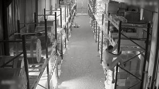Imagen de las cámaras de seguridad captando a los autores de los robos en naves de Arganda