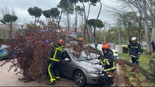 El temporal provoca más de 100 salidas de los Bomberos solo en Madrid capital