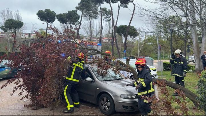 Bomberos de la Comunidad de Madrid atienden los avisos por el temporal de viento