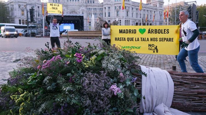 Greenpeace y No a la Tala regalan a Almeida un gran ramo por su boda con restos de árboles talados