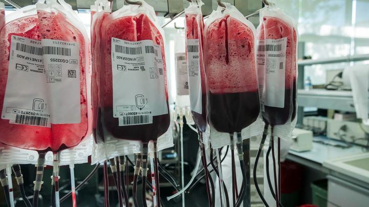 Bolsas de sangre en el Centro de Transfusión