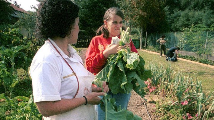 Proyecto +RuralTEA: vivir con autismo en áreas rurales