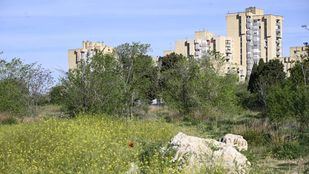 Entorno de la antigua cárcel de Carabanchel, donde se llevará a cabo un gran proyecto de urbanización