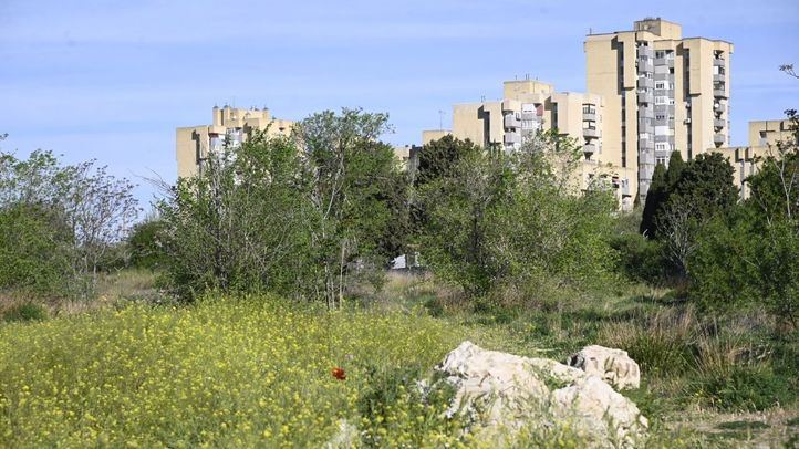 Entorno de la antigua cárcel de Carabanchel, donde se llevará a cabo un gran proyecto de urbanización