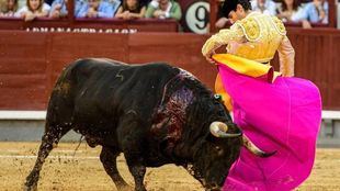 Madrid rechaza la supresión del Premio Nacional de Tauromaquia y anuncia su propio galardón
