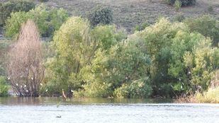 El triatlón de Guadalix de la Sierra se cancela por la protección del embalse de Pedrezuela