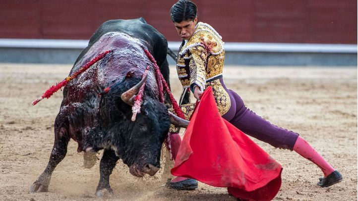 Francisco de Manuel muletea por bajo a Bastonito.