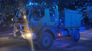 Treinta dotaciones de Bomberos de la Comunidad de Madrid han estado trabajando este jueves en la extinción de un incendio de vegetación que ha tenido lugar entre Torrejón de Ardoz y Alcalá de Henares