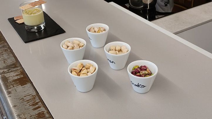 Presentación del proyecto 'Pistachomad'.
