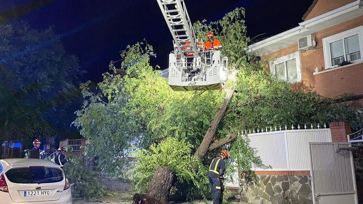 Los servicios de emergencias intervienen por la caída de un árbol