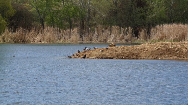Parque Regional del Sureste