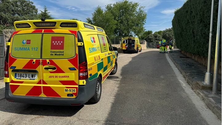 Herido grave un hombre tras morderle una víbora en su casa de Valdemorillo