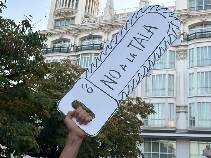 Concentración contra la tala de árboles en la plaza de Santa Ana