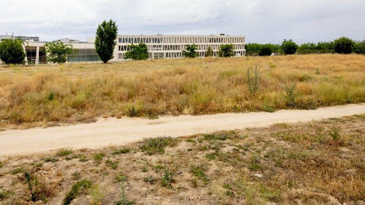 Parcela donde se pretende ubicar el cantón de Montecarmelo