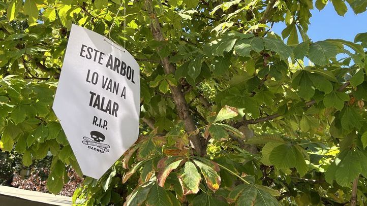 Carteles en protesta del plan del Ayuntamiento de Madrid para talar los árboles de la Plaza de Santa Ana