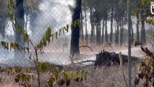 Incendio de pastos y pinos en la Dehesa del Príncipe