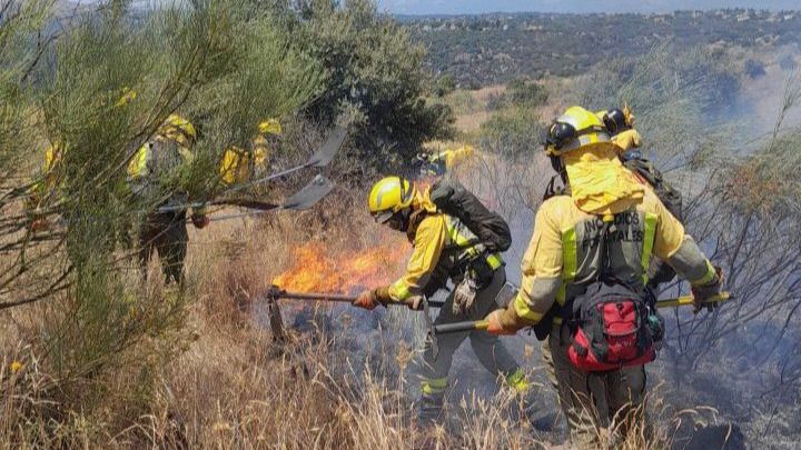 Incendio forestal en El Molar