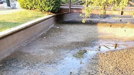 Estanque casi sin agua en el Parque Arroyo del Fresno Tomás y Valiente