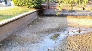 Estanque casi sin agua en el Parque Arroyo del Fresno Tomás y Valiente