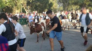 Polémica en Leganés por la celebración de un encierro infantil
