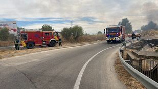 Incendio de pastos en San Blas