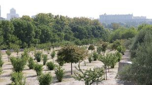 Huerta de la Partida