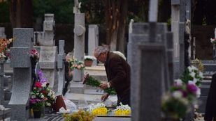 Los animales domésticos podrán acceder a los cementerios municipales de Madrid