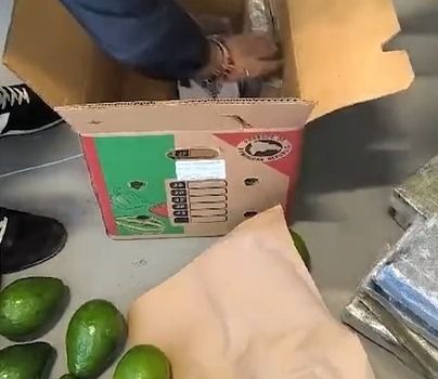Los agentes encuentran cocacía en cargamento de aguacates