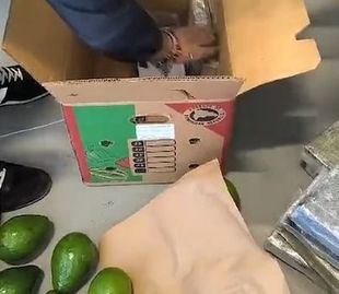 Cae una banda que introducía por Barajas cocaína oculta con aguacates