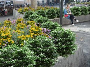Luz verde a la reforma de la plaza de Tirso de Molina