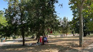 Los vecinos se han concentrado durante semanas en las inmediaciones de el parque El Paraíso