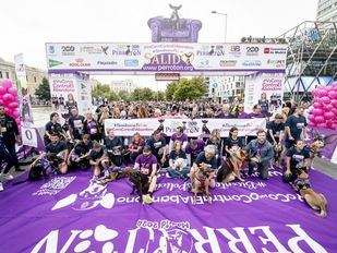 Más de 5.000 mascotas se unen en Madrid para celebrar el XIII Perrotón