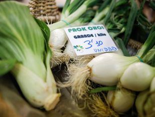 Plátanos, ajos y lechugas multiplican su precio por siete en septiembre