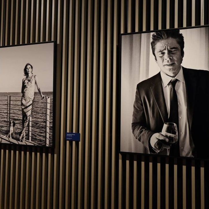 Exposición 'The Stars' Share / Prints of life', del fotógrafo Gérard-Philippe Mabillard