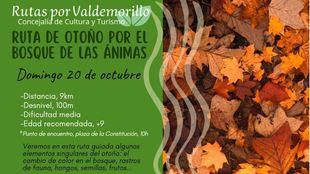 Valdemorillo celebra el otoño con una ruta por el Bosque de las Ánimas