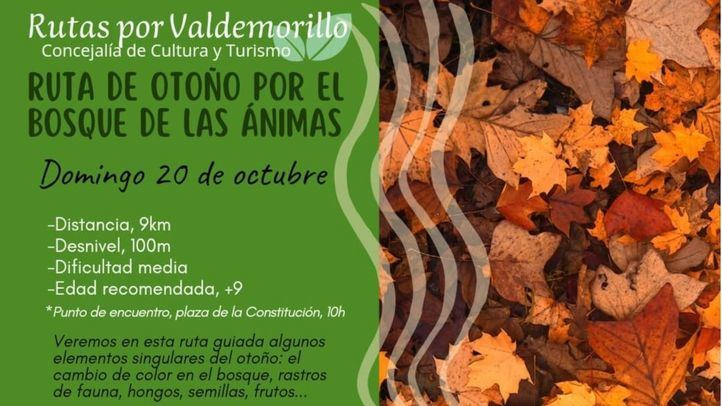 Ruta por el bosque de las ánimas